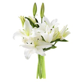 KaBloom PRIME NEXT DAY DELIVERY - Summer Collection - Oasis of Comfort Bouquet of 5 White Oriental Lily .Gift for Birthday, Anniversary,Thank You, Valentine, Mother’s Day Fresh Flowers