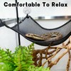 Snake Hammock For Ball Python, Jungle Gym Ball With Chain