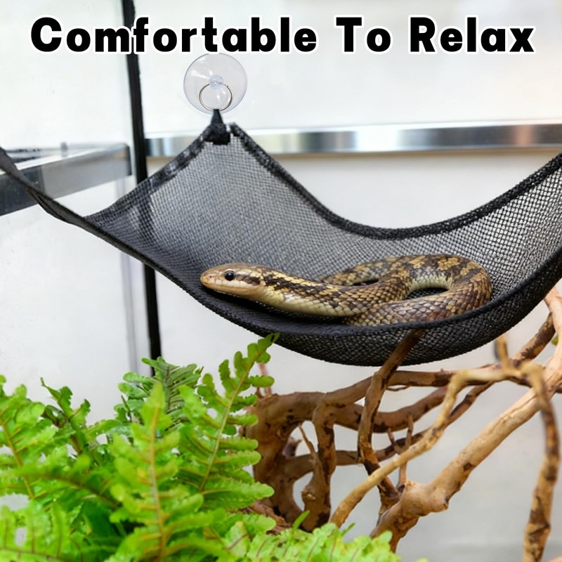 Snake Hammock For Ball Python, Jungle Gym Ball With Chain
