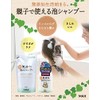 Additive-Free Foam Shampoo
