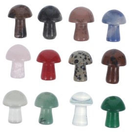 FUNOMOCYA 12pcs Mushroom Shape Decorations Crystal Stone Mushroom Sculpture Adornment