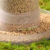 AIMALL Bird Automatic Feeder - Chicken, Pigeon, Parrot Feeder &