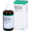 Ranunculus Homaccord Drops 100 ml