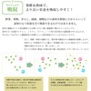 熟 31包 1袋 大和酵素 100％ 国産 植物 野菜 無添加 小分け