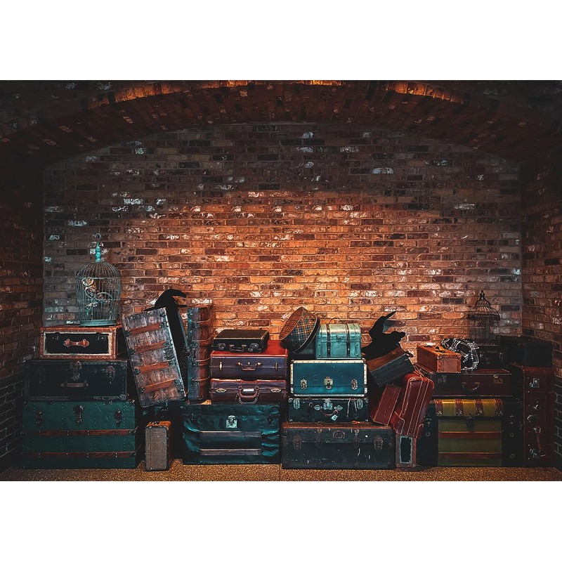 Platform 9 King Train Station Backdrop Magic Wizard School Photography