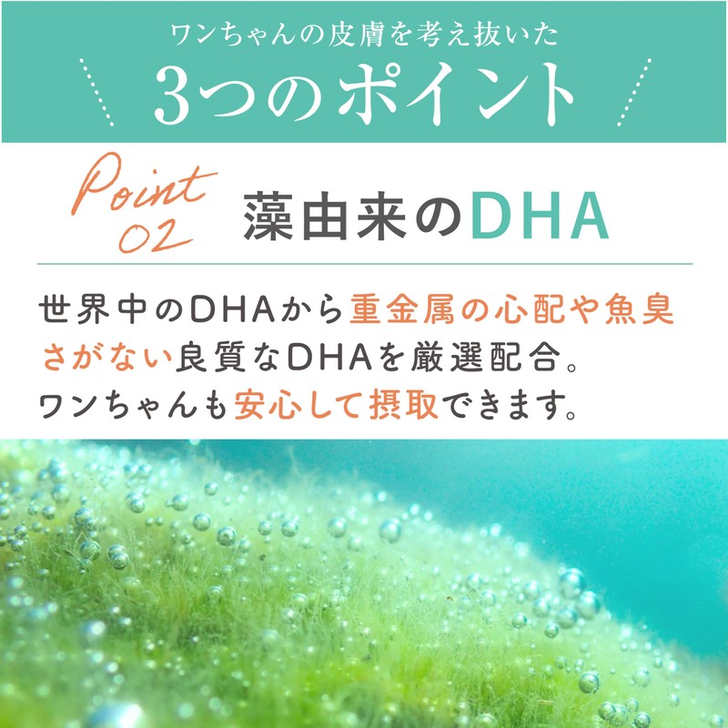 MOREMOTTO furico フリコ 犬 腸活 ふりかけサプリ 乳酸菌 皮膚 犬の腸内環境サプリメント 整腸剤