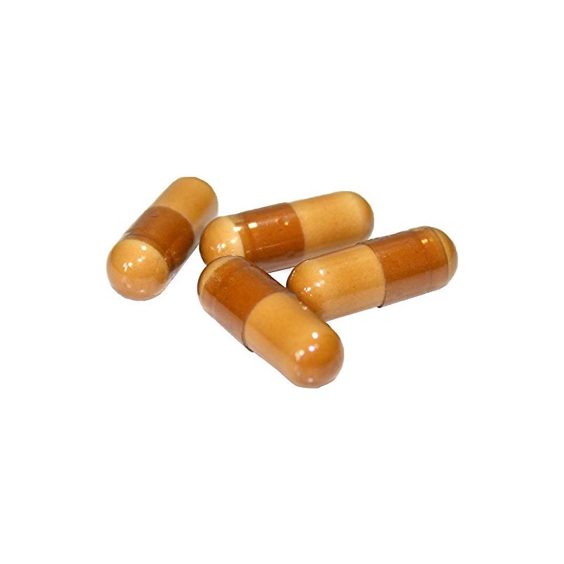 TBD SHIN FUCOIDAN 120 Capsules (30 Day Supply)