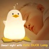 Hinittey Duck Night Light, Cute Benson Ducks Lamp, Funny Nursery