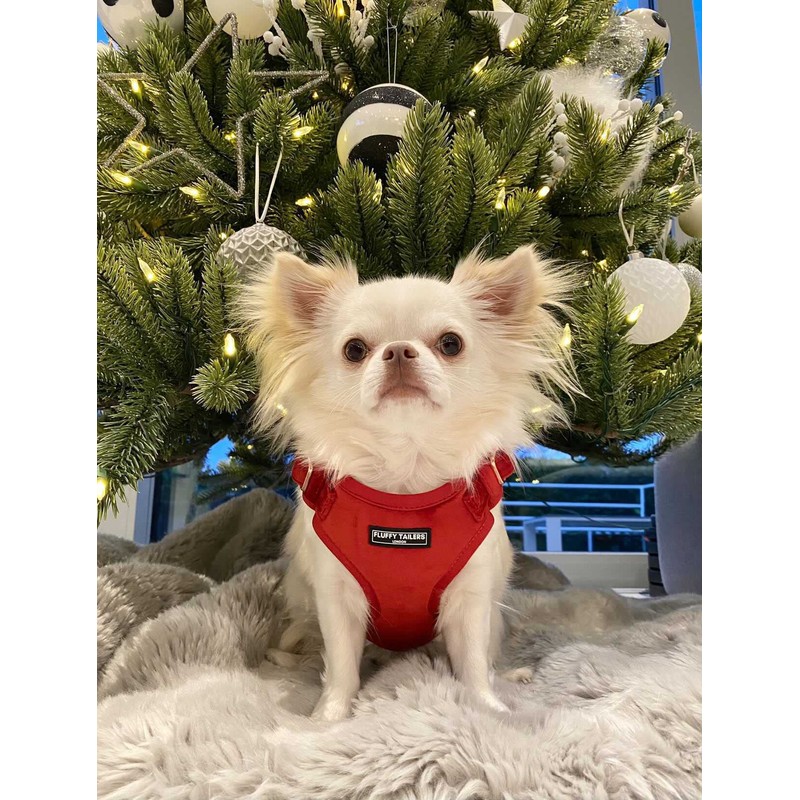 Fluffy Tailers Luxury Red Velvet Dog Harness No Pull Adjustable