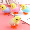 Audaisyly Chick Bunny Wind Up Toys for Kids, 4 PCS