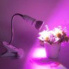 E26/E27 Clip Desk Lamp Holder 5.9ft Cable 11.8in Gooseneck Design