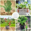 Froidesente 16 Pcs Root Guard Gopher Proof Stainless Wire Steel