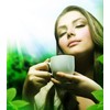 Sencha Green Dynasty Tea 75g (75g)