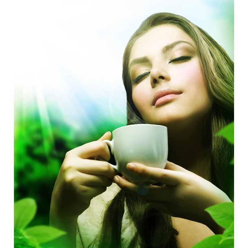 Sencha Green Dynasty Tea 75g (75g)