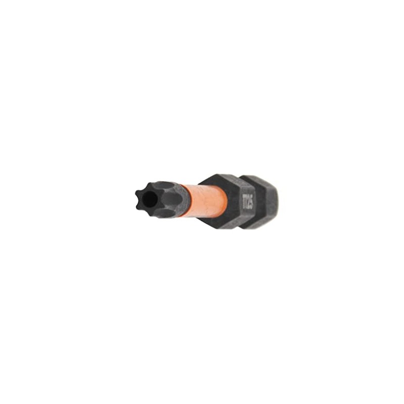 Railer T25 Tamper Proof Bits - 4 Pack, 2 Inch,