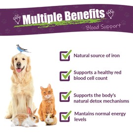 AMBER NATURALZ Radox Blood Support Herbal Blend for Dogs, Cats, Birds, Guinea Pigs, and Rabbits | Herbal Pet Supplement for Circulation and Iron | 4 Fluid Ounce Glass Bottle | Manufactured in The USA