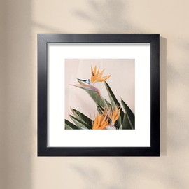 LaVie Home 12x12 Picture Frame Black Poster Frame,Display Pictures 8x8 with Mat or 12x12 Without Mat, Stable and Sturdy Frame and Polished Plexiglass, Horizontal and Vertical Format of The Walls