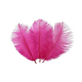 50PCS 15-20cm/6-8inch Colorful Real Natural Ostrich Feather Plume Stage Performance Props DIY Crafting Accessories for Party Home Wedding Centerpieces Party Festival Carnival Decoration(Hot Pink)
