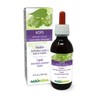 Naturalma Hops (Humulus lupulus) strobilus or Cone (Female Flowers) Alcohol-Free