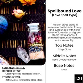 2 Pack Pick 80+Scents Car Air Freshener Hanging Car Diffuser Made in USA Last for 120 Days:_C12-Cherry Blossom(Japanes Cherry Blossom type)