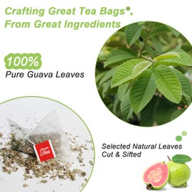 FullChea - Guava Leaves Tea Bags, 50 Teabags - Hojas De Guayaba, Premium Guava Leaf Tea - Non-GMO - Caffeine-free - Boost Immunity & Rich in Antioxidants