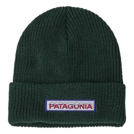 Patagonia Youth Logo Beanie Hat 66045 (Conifer Green) $35