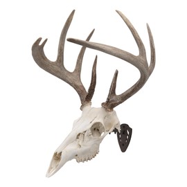 Allen Company EZ Mount Skull Hanger, Fixed, Brown