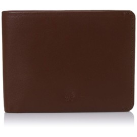 AULIV RFID Blocking Passcase Leather Wallet Sleek and Minimalist with Easy Pull Tab for Men with Gift Box, Tan