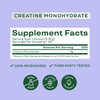 Bloom Nutrition Creatine Monohydrate Powder, 5g Micronized Creatine per Serving,