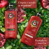 Shampoo Herbal Essences Pelo Largo Granada & Proteína Vegana 600