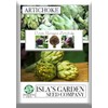 Purple Romagna Artichoke Seeds for Planting, 25+ Heirloom Seeds Per
