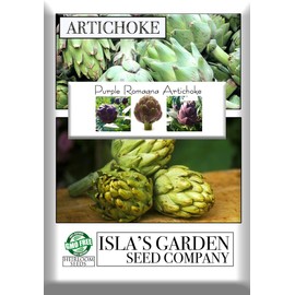 Purple Romagna Artichoke Seeds for Planting, 25+ Heirloom Seeds Per Packet, (Isla's Garden Seeds), Non GMO Seeds,Botanical Name: Cynara scolymus, Great Home Garden Gift