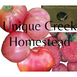 Unique Creek Homestead GIANT PINK BELGIUM Tomato Seeds Organically Grown Unique Creek Homestead Gardens