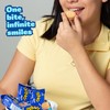 Brinky Biscuits USA, 24 Biscuits 12 Pieces & 33 Gram
