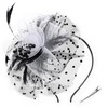 DRESHOW Fascinator Hats for Women Pillbox Hat with Veil Headband