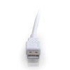 9.8ft (3m) USB 2.0 A Male to A Female Extension