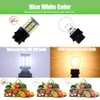Makergroup S8 3156 Wege LED Bulbs, S-8 3156K Plastic Base
