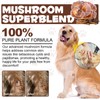 Mushroom Supplement Powder for Dogs & Cats, 11 Mushroom Powder