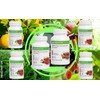 Herbalife Herbal Tea Concentrate: Peach 1.8 Oz. (51g) Gluten Free,