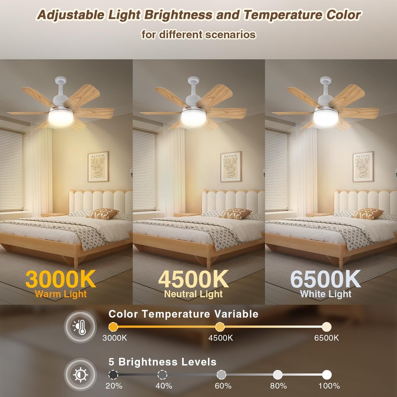 Techcircle Socket Fan Light with Remote Control, 20" Screw in