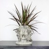 Darware Resin Medusa Head Planter, Large Garden Decor Statue Flower