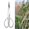 Bonsai Scissors Stainless Steel Leaf Bud Scissors Branch Cuttings Bonsai