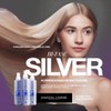 SHAMPOO SILVER 300ML Y BI FASE SILVER TRATAMIENTO ACONDICIONADOR MATIZADOR