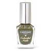 Canmake Colorful N73 Matcha Syrup, High Color, Quick Drying, Green,