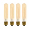 Xtricity T9 Vintage Incandescent Amber Filament Bulb, Radio Tube, Edison