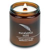 Hemlock Park Crackling Wood Wick Candle Handcrafted with Natural Coconut