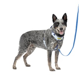 PetSafe Easy Walk Comfort No-Pull Dog Harness - Better Walk Training Harness - Full Body Padded Design - Durable Fabric - 5 Point Adjustable Fit - Everyday Leash Training - Blue - Medium/Large