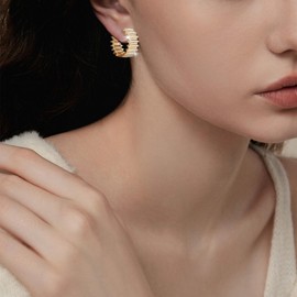 Richapex Olive Leaf Design Hoop Earrings for Women - 18k Gold Plated Hypoallergenic Cubic Zirconia Earrings, Lightweight Everyday & Party Jewellery Gift