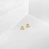 Replacement Pair (2) 18k Gold Plated Earring Screw Backs Fits