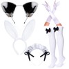Irtysh Anime French Women Bunny Maid Sweet Kawaii Costume Cosplay